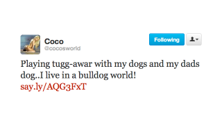 Illustration for article titled 'Wait,' Says Twitter; 'Anderson Cooper Is Gay? Like Gay Gay?'